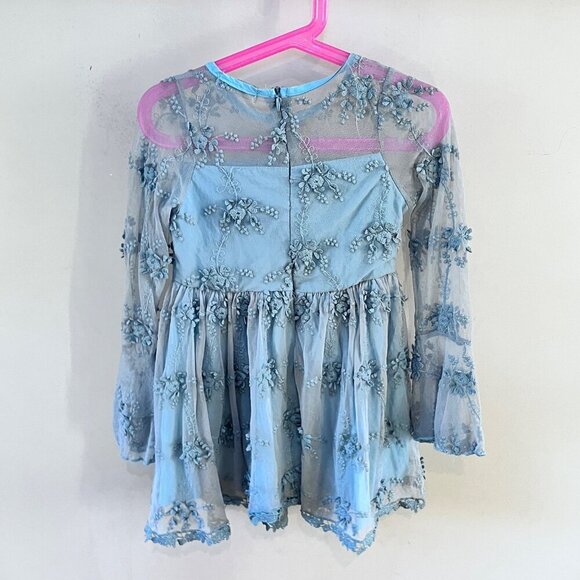 Trish Scully Embroidered Tulle Dress- Size 4 - Picture 4 of 5